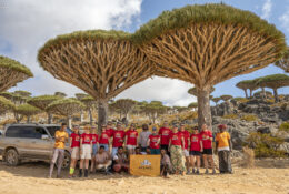 Socotra_2025 (59/76)